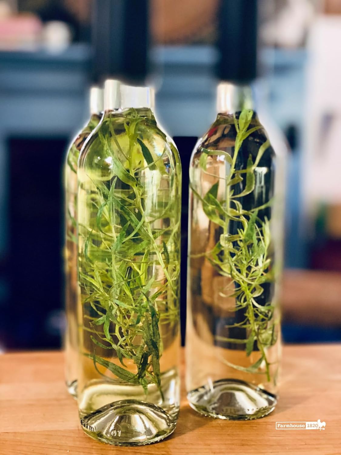 French White Wine Vinegar with Tarragon, 33.5 fl oz (1 Liter) – Artisan Vinegar from Reims, France, Infused with Fresh Tarragon for Dressings, Marinades & Sauces