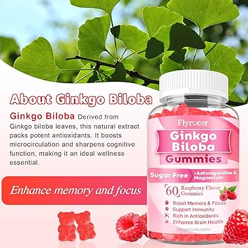 2 Pack Ginkgo Biloba Gummies for Adults & Kids, Ginkgo Biloba Supplements for Focus, Memory, and Brain Health, Vegan, Sugar-Free, Raspberry Flavor, 120 Count