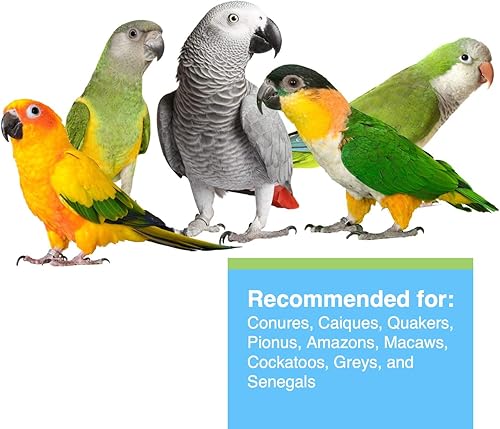 Miniatura 3 de Hari Hagen Tropican Lifetime Formula Loro Food, 8 libras, alimento para loros HARI con maní y semillas de girasol y niveles nutricionales de