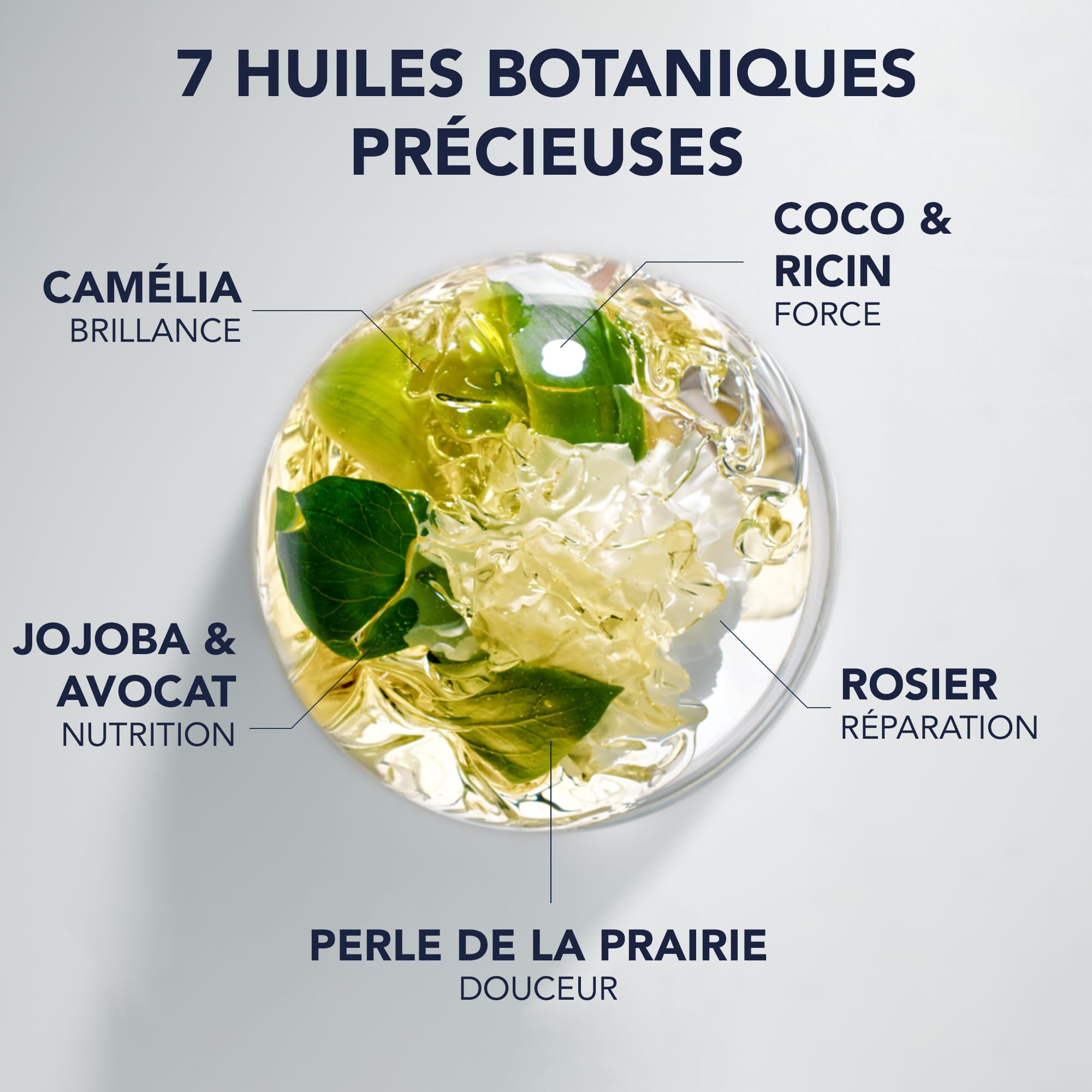 Phyto Paris Phyto 7 Elixir - Olio Sublimante Disciplinante 100 ml - Capelli spessi, secchi e danneggiati - Cura multiuso, nutrizione intensa, disciplina e rifinisce - 99% di oli botanici naturali