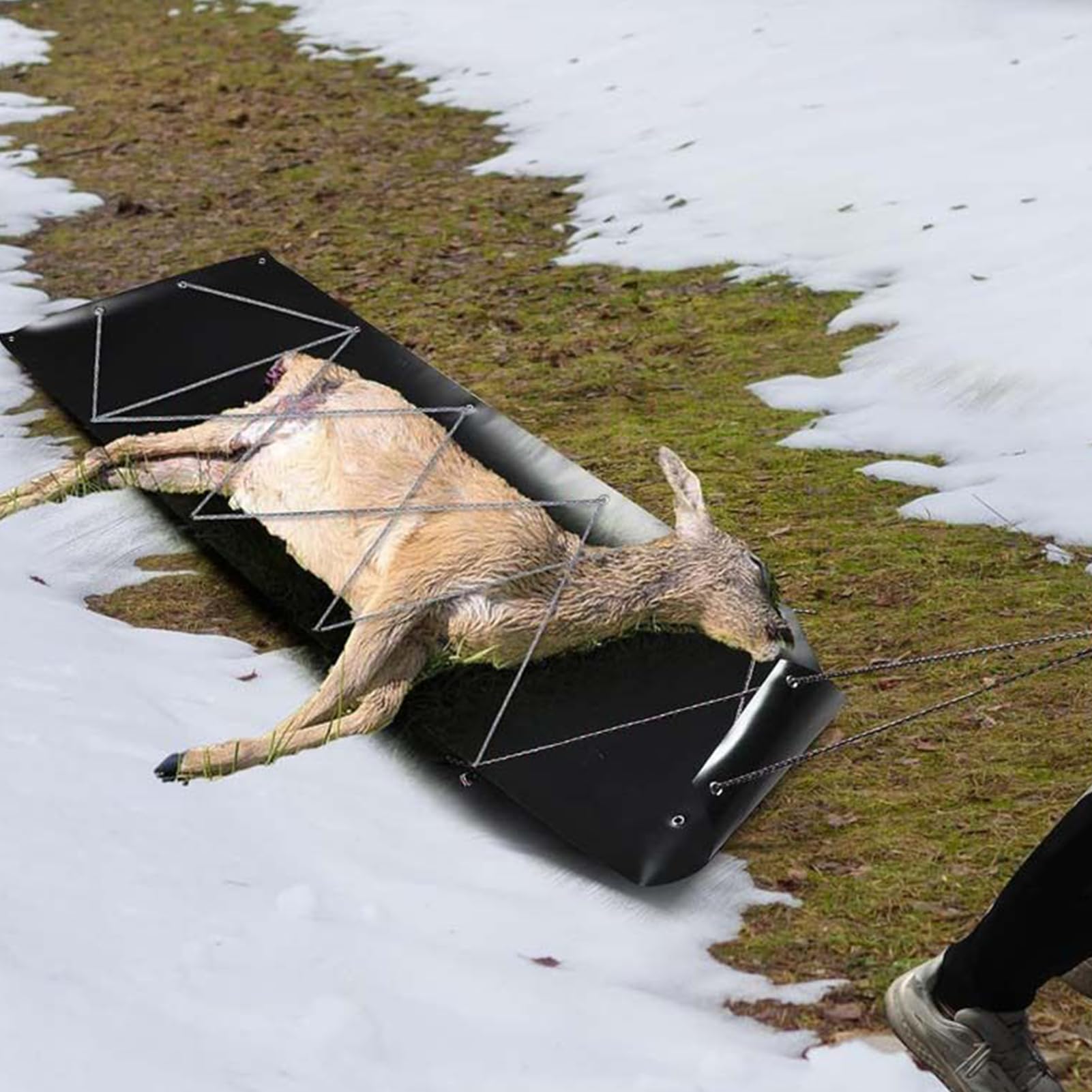 Slitta da Cervi carrello scorrevole per traino e trasporto | Slitta Pieghevole Multiuso Caccia E Trasporto Cervi Pescatore Tronchi Legna Neve Spiaggia Sabbia Pesca Ghiaccio