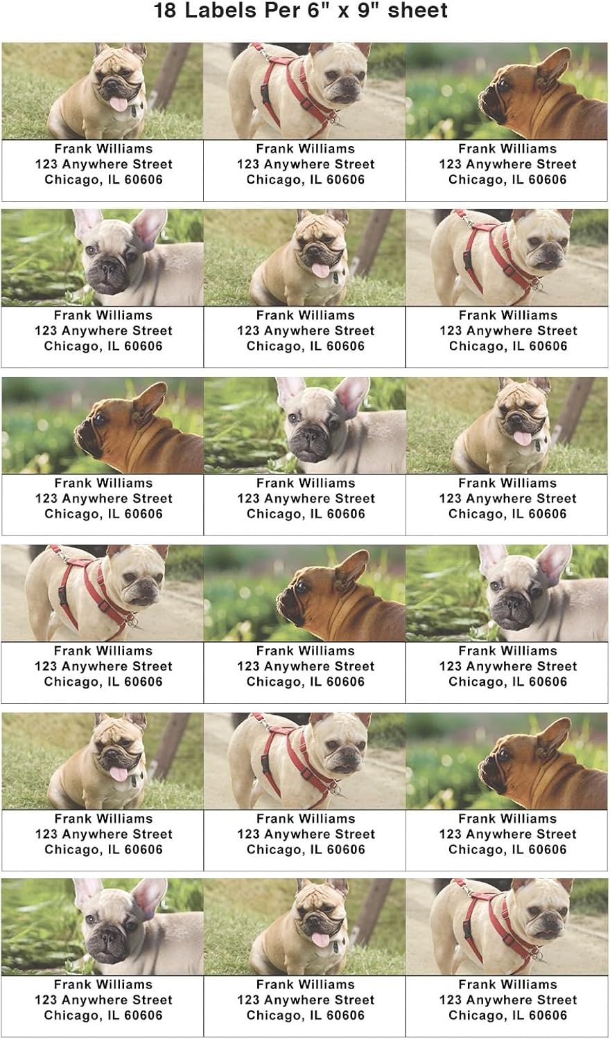 Tan French Bulldogs Address Labels