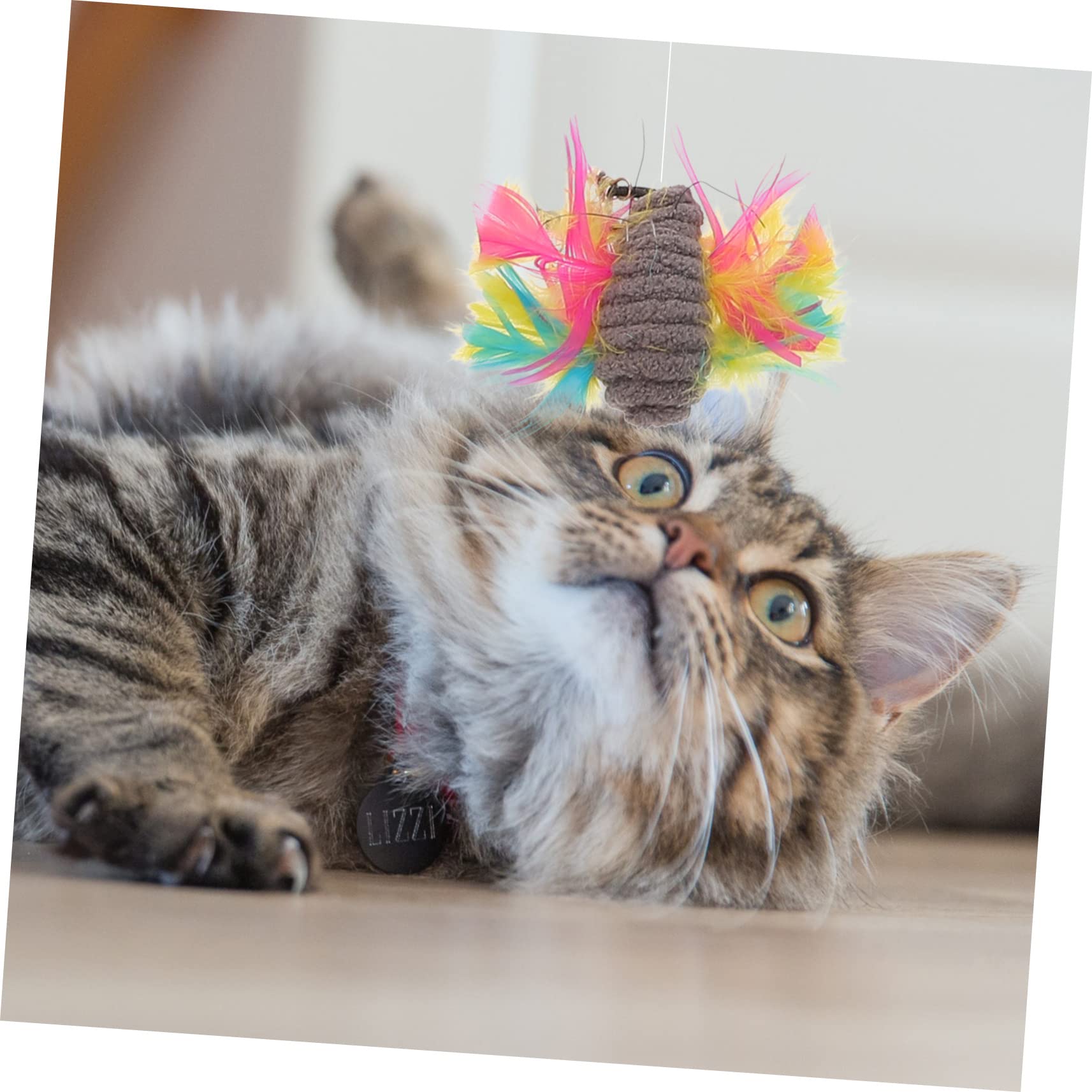 minkissy 3sets Giocattoli Per Cannette Teaser Retrattili Per Indoor e Stimolazione Del Per Gattini e Adulti