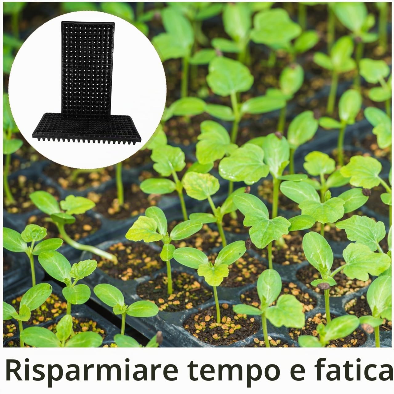 Yardwe - Vassoio per germinazione di sementi per sementi e sementi, 200 Pezzi, per Piante e Piante