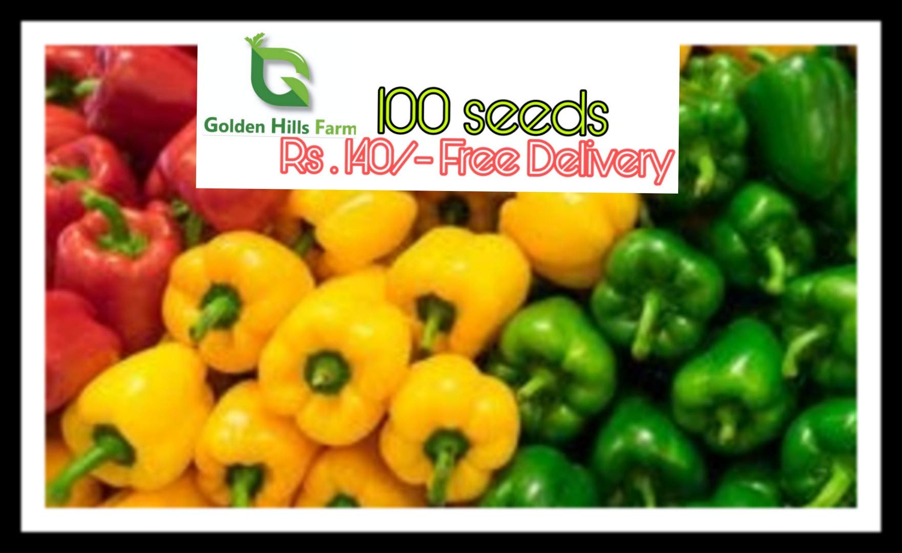 Golden Hills Farm 100 seeds Vegetable Seeds Sweet Mia Pepper (Mixed Colour) Seeds - Capsicum ?Seeds Home Garden Seeds (B07RTPQNSC) Amazon Price History, Amazon Price Tracker