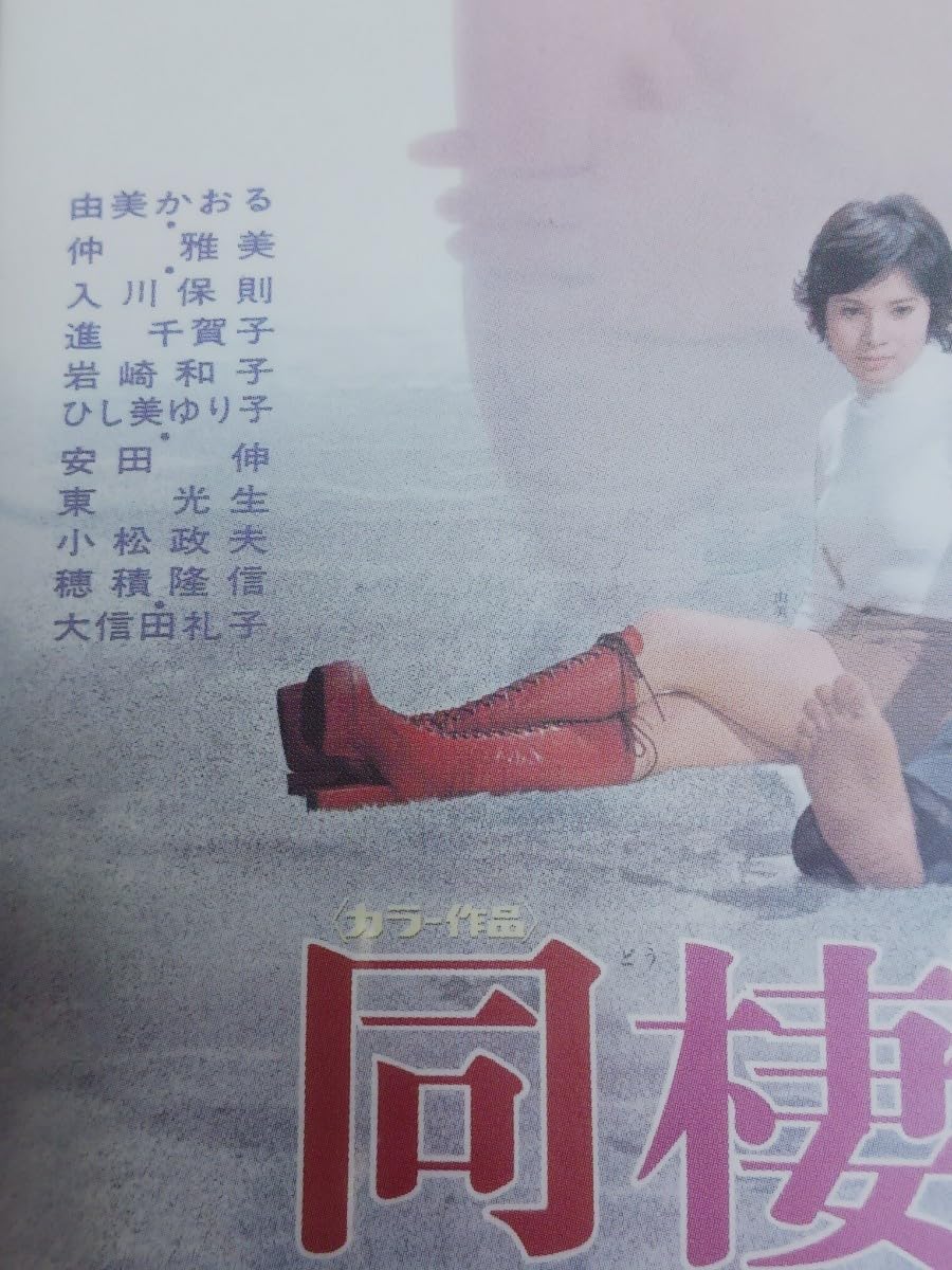 魯山人 写しの器／九谷焼 色絵春秋長角盛皿（寺田春栄）、色絵独楽筋