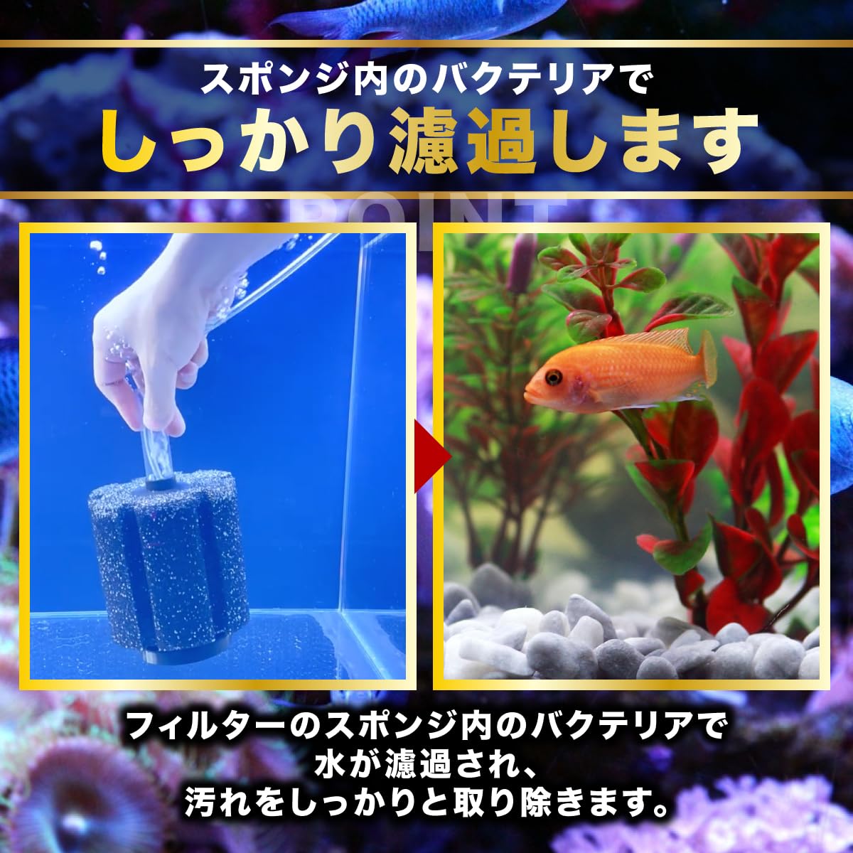 Amazon | pikake bay 水槽 スポンジ フィルター アクアリウム ろ材