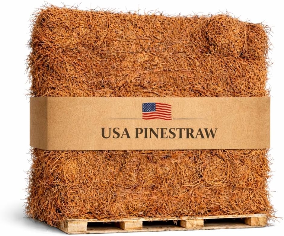 Long Needle Pine Straw Mulch - 3200 Sqft Coverage 1 Set - Premium USA Harvested PineStraw for Landscaping, Weed Control, Moisture Retention & Erosion Control - USA Pinestraw