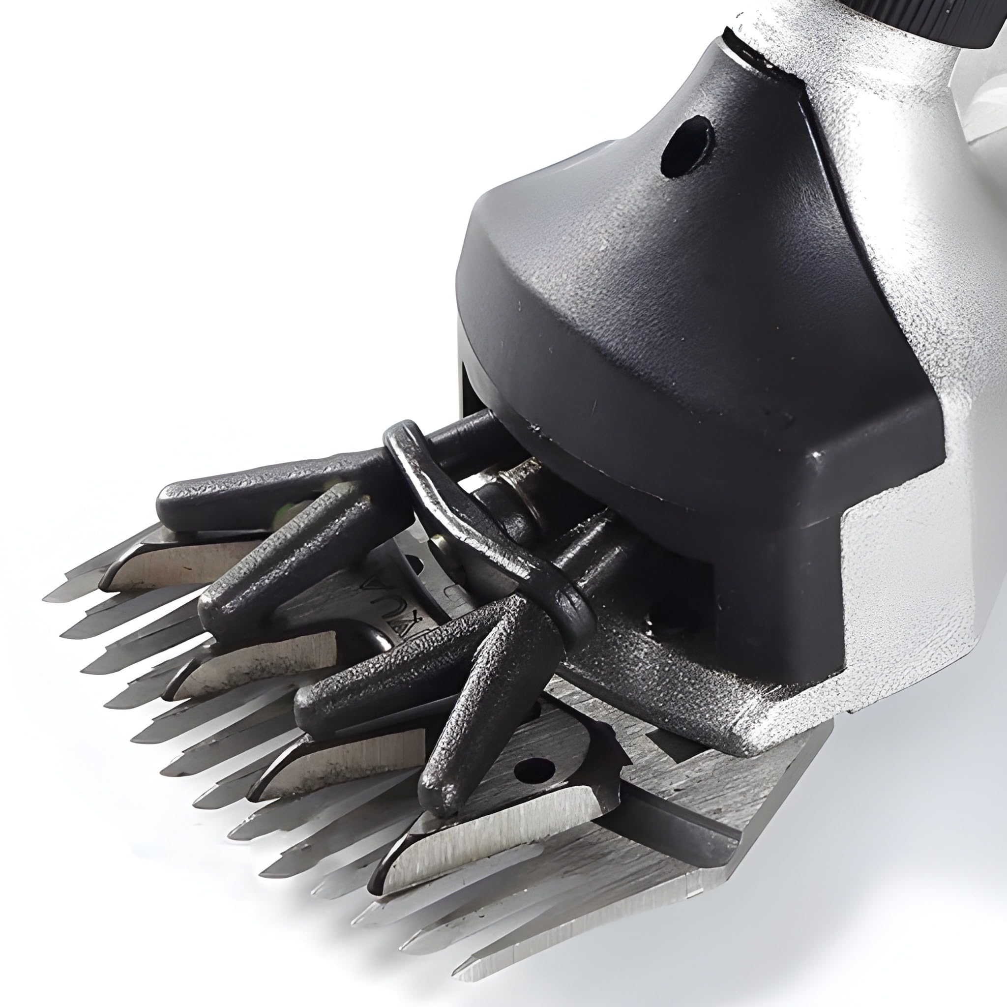 Tosapecore Tosatrice Elettrica Professionale per Pecore Capre Lama Alpaca con Motore 550W Regolabile 6 Velocità Valigetta e Accessori Inclusi