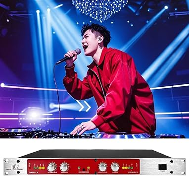 Professional Audio Processor with Autotune Vocal Effects, Treble & Bass Frequency Adjustment, for Karaoke, Live Performance, Home Studio