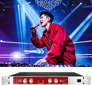 Professional Audio Processor, 882I Autotune Vocal Processor with Treble/Bass Frequency Adjustment, for House Karaoke, Performance