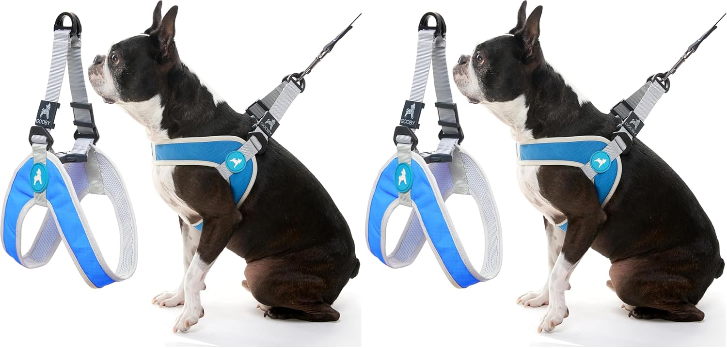 Gooby Simple Step III Harness - Blue, Small - Dog Harness with Scratch Resistant Outer Vest - Soft Inner Mesh for Small, Medium Dogs (Pack of 4)