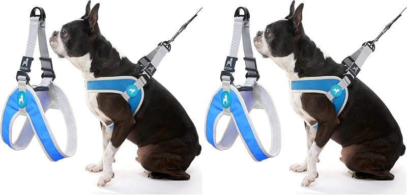 Peitoral Vest Step-In para Cães Pequenos Gooby Simple Step in III Azul Tamanho Grande, Pacote com 2