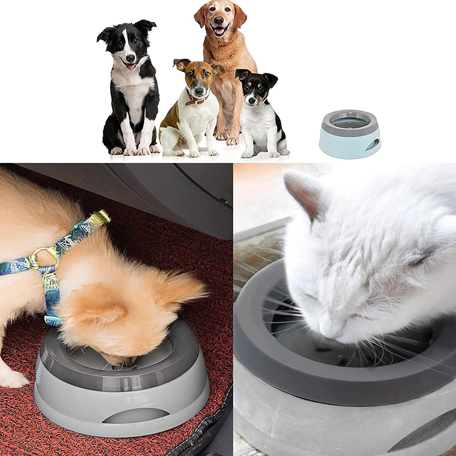Image secondaire de Bol d'Eau Portable Antidébordement pour Chiens et Chats - 750ml
