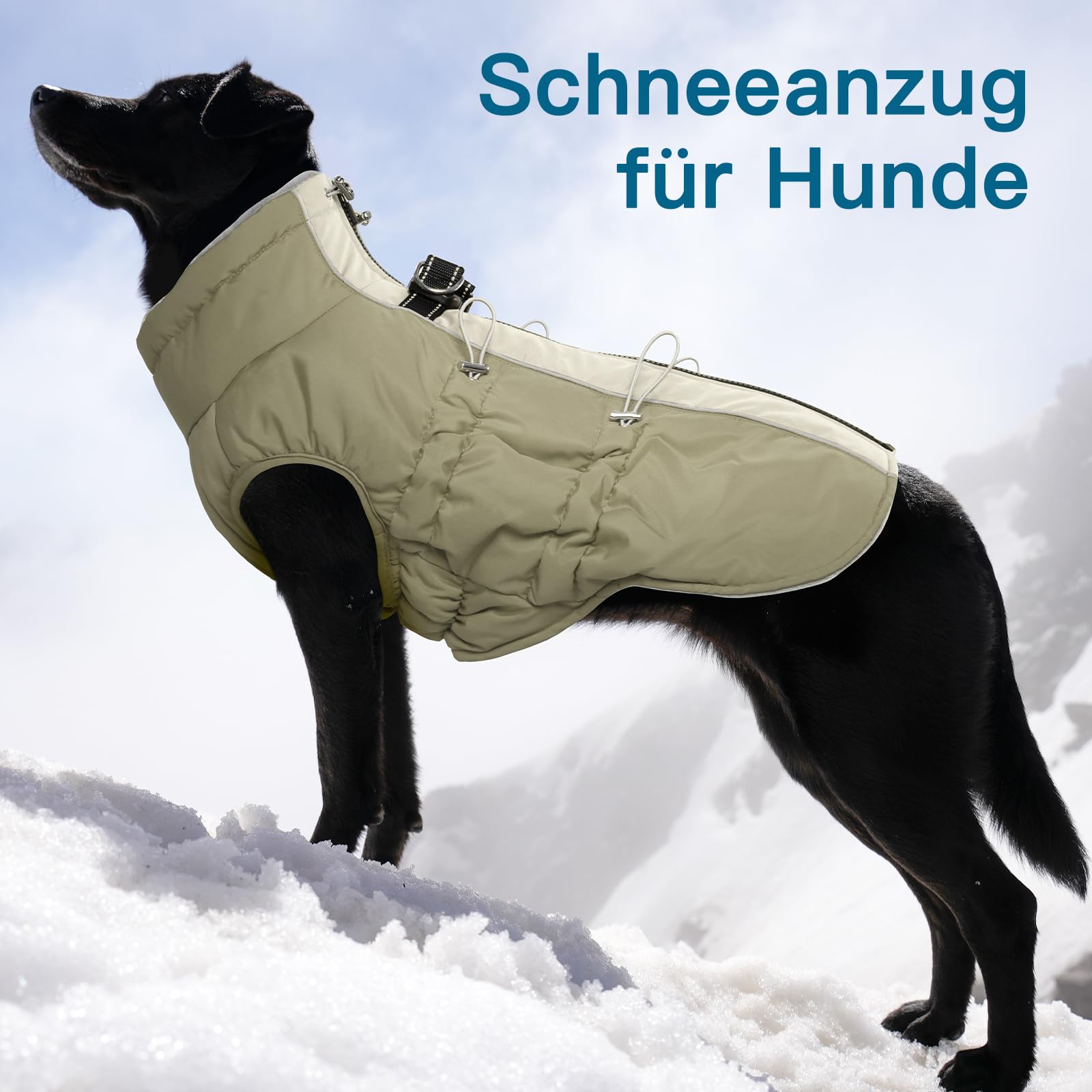 Cappotto invernale per cani grande, resistente all'acqua, riflettente, con pettorina e chiusura lampo antiscivolo, caldo e morbido, Border Collie, Dalmata, Albicocca, XL