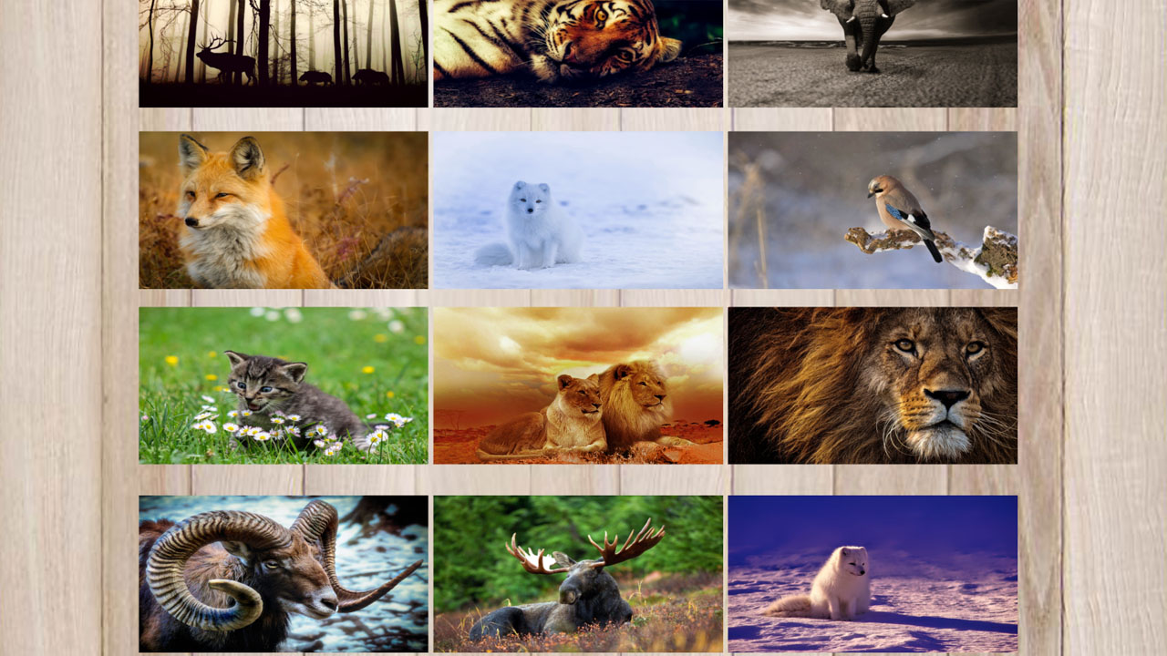 Animal puzzle App on Amazon Appstore