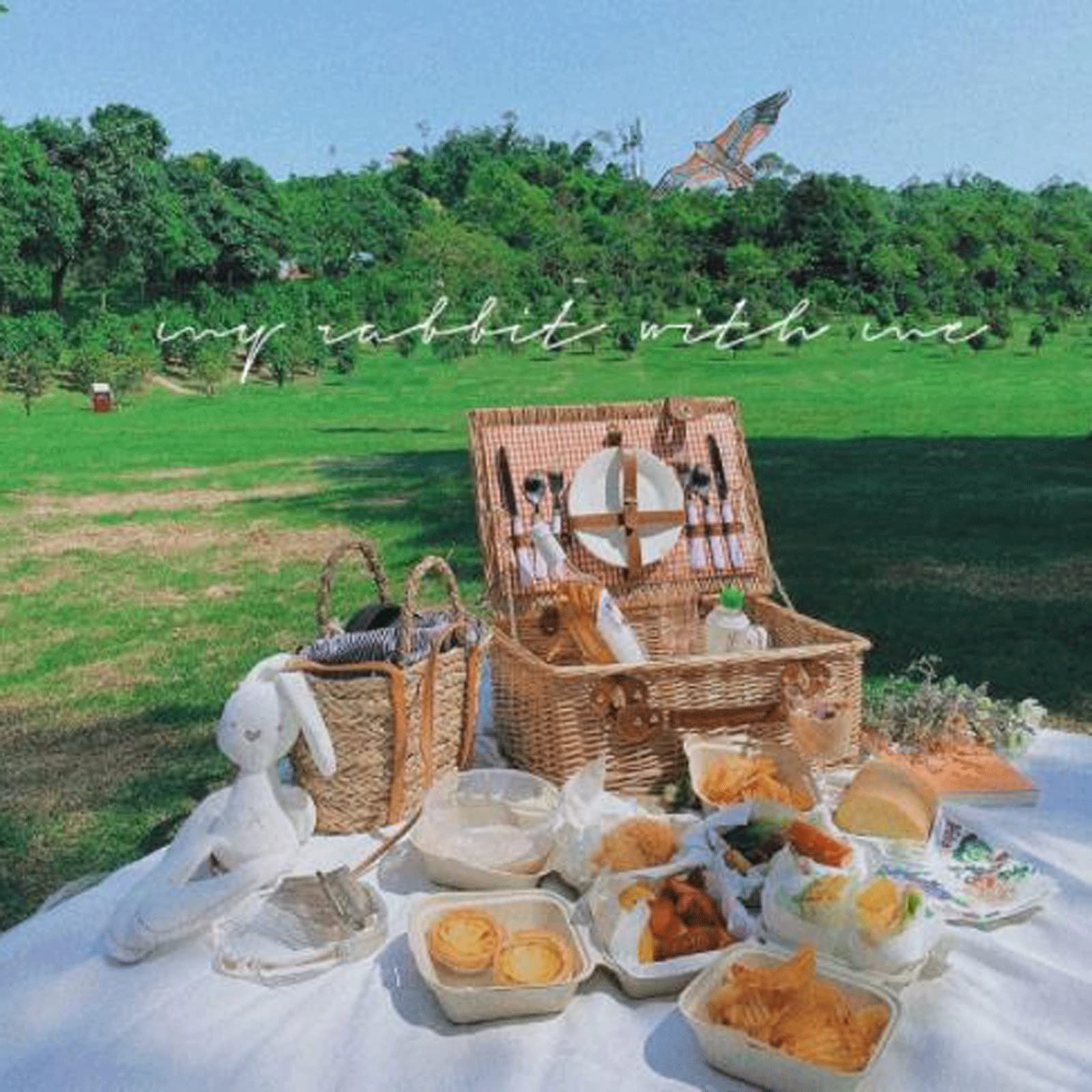 Cestas de Picnic Cesta de Almacenamiento para Picnic al Aire Libre Cesta organizadora de Frutas de ratán Tejido，