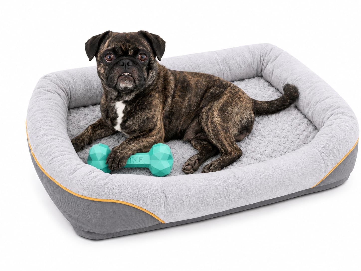 Generico LOVE PET Cuccia per Cani Morbida e Lavabile con Cuscino in Memory Foam, Bordo Rialzato, per Animali Domestici di Piccola e Media Taglia, con Giocattolo in Regalo