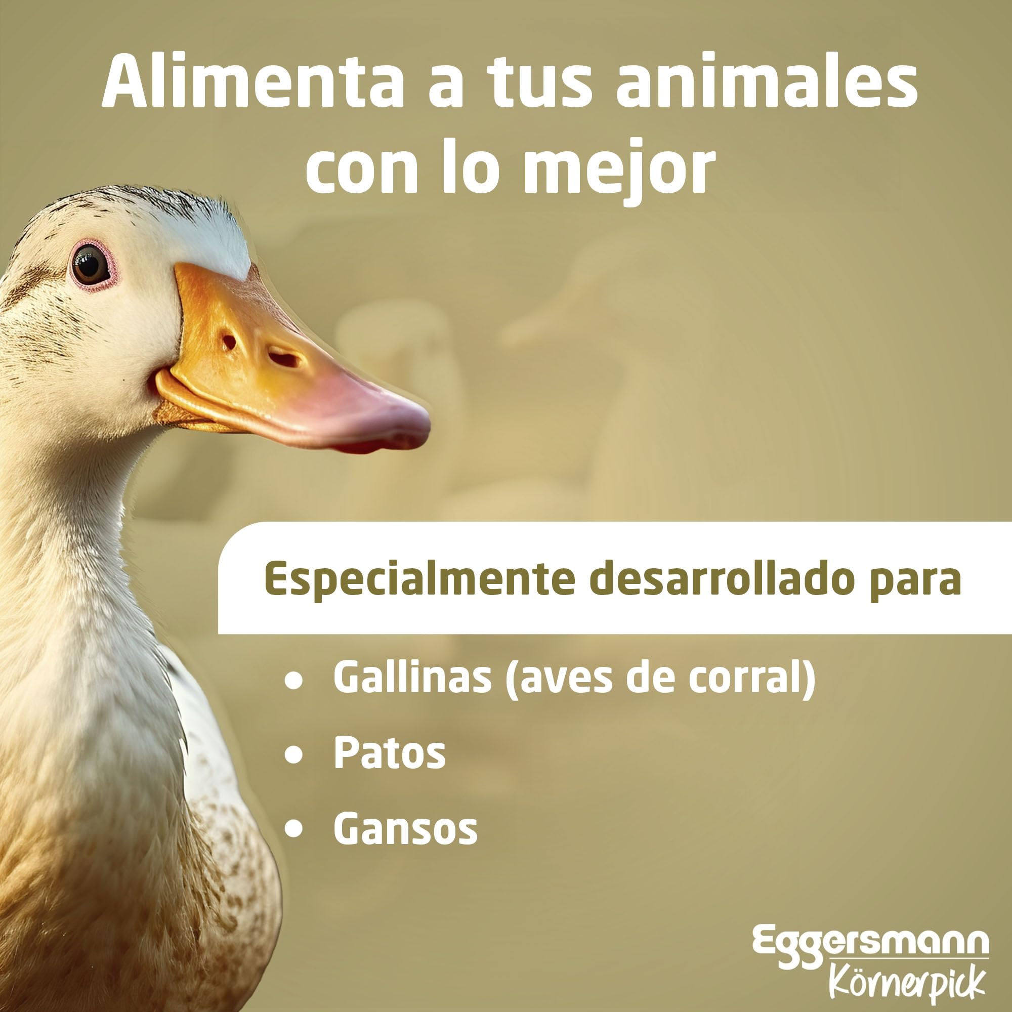 Eggersmann Körnerpick 25 kg de pienso para Pollos - Mezcla de harina de orégano - harina de gallina ponedora con el Poder Natural del orégano - harina de ponedora Premium para gallinas, Gansos y Pato