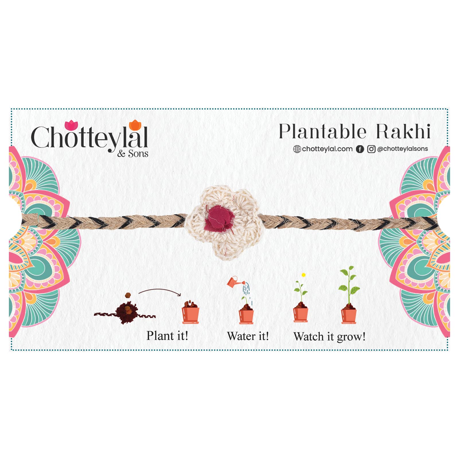 CHOTTEY LAL AND SONS Rakshabandhan Special Multicolor Rakhi with Seed, Rakhi for Brother/Men, Natural Plantable Rakhi with Seed (Set of 1) (B0B72YCCKB) Amazon Price History, Amazon Price Tracker
