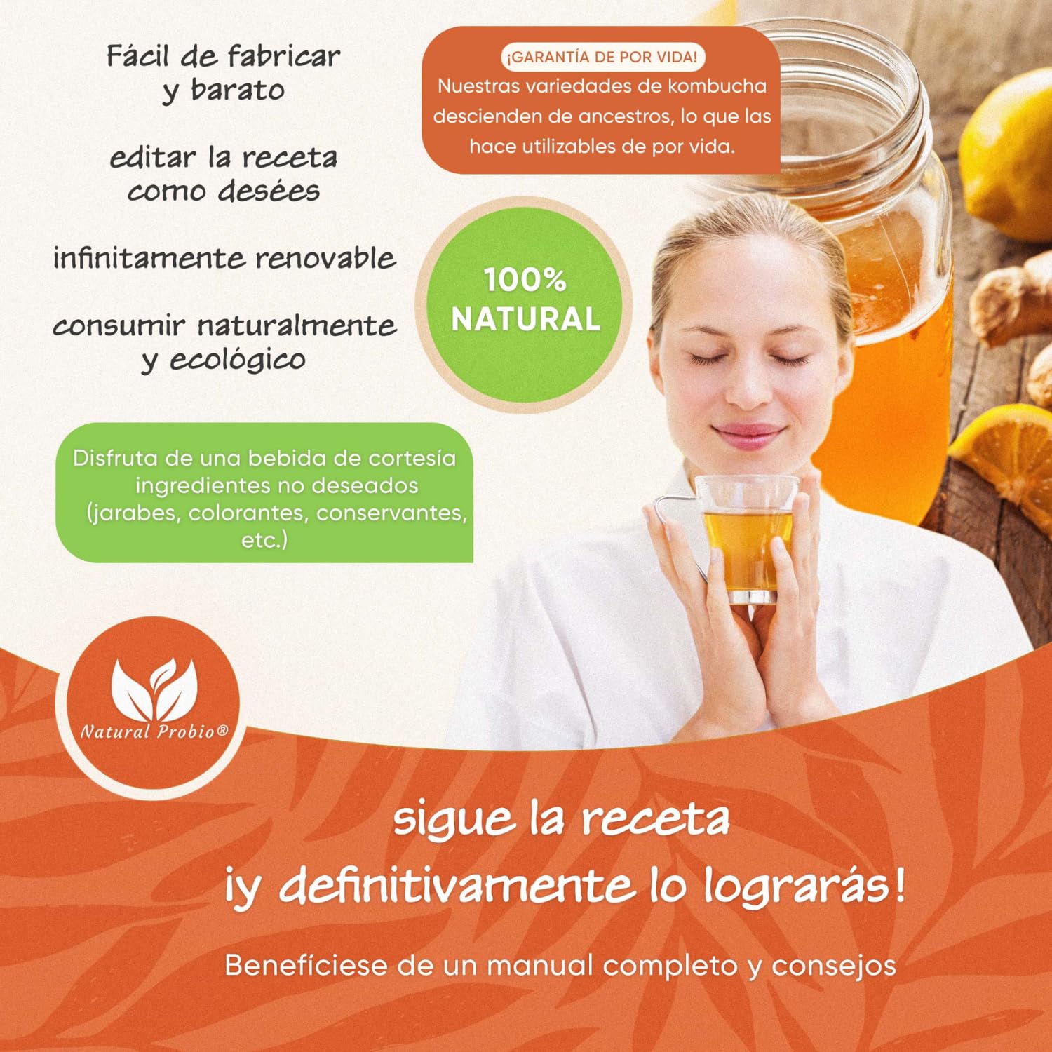 Natural Probio Original Kombucha Scoby Kit de inicio cultivo auténtica cepa madre instrucciones receta consejos