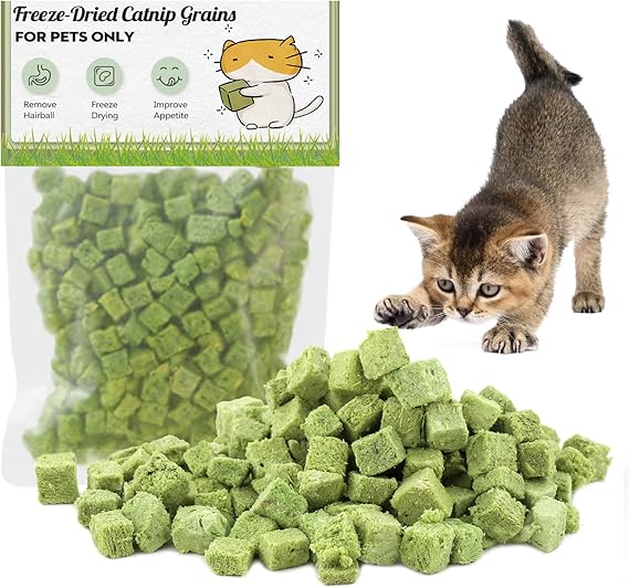 Cat Grass Treats for Cat, 60g Natural Dried Snacks for Cats, Edible Cat