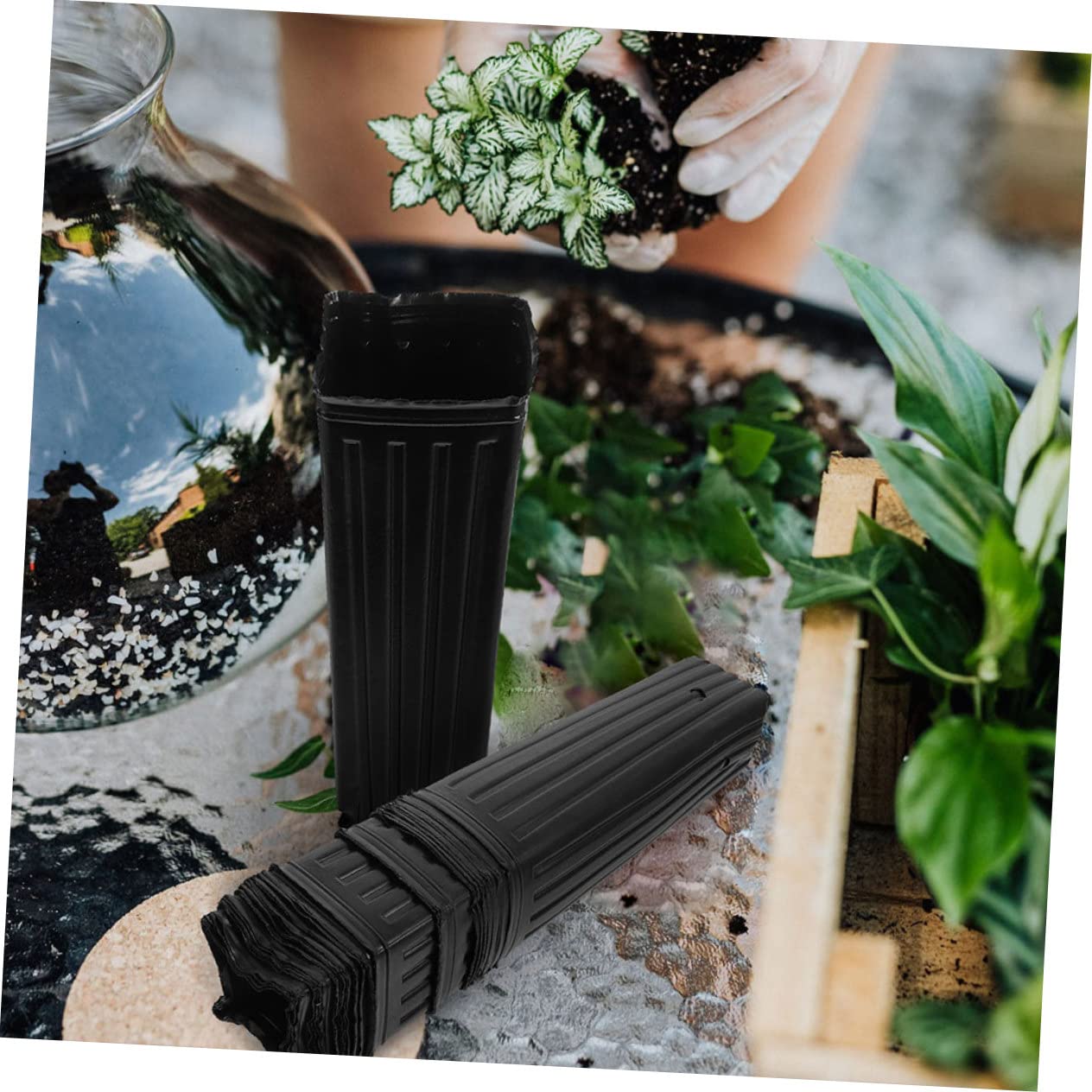 BESPORTBLE Macetas para Plantas 60piezas Copa de Cultivo de Plantas Negro 30X10X10Cm Protección de Permeabilidad al Agua Adecuado para Árboles y Hortalizas