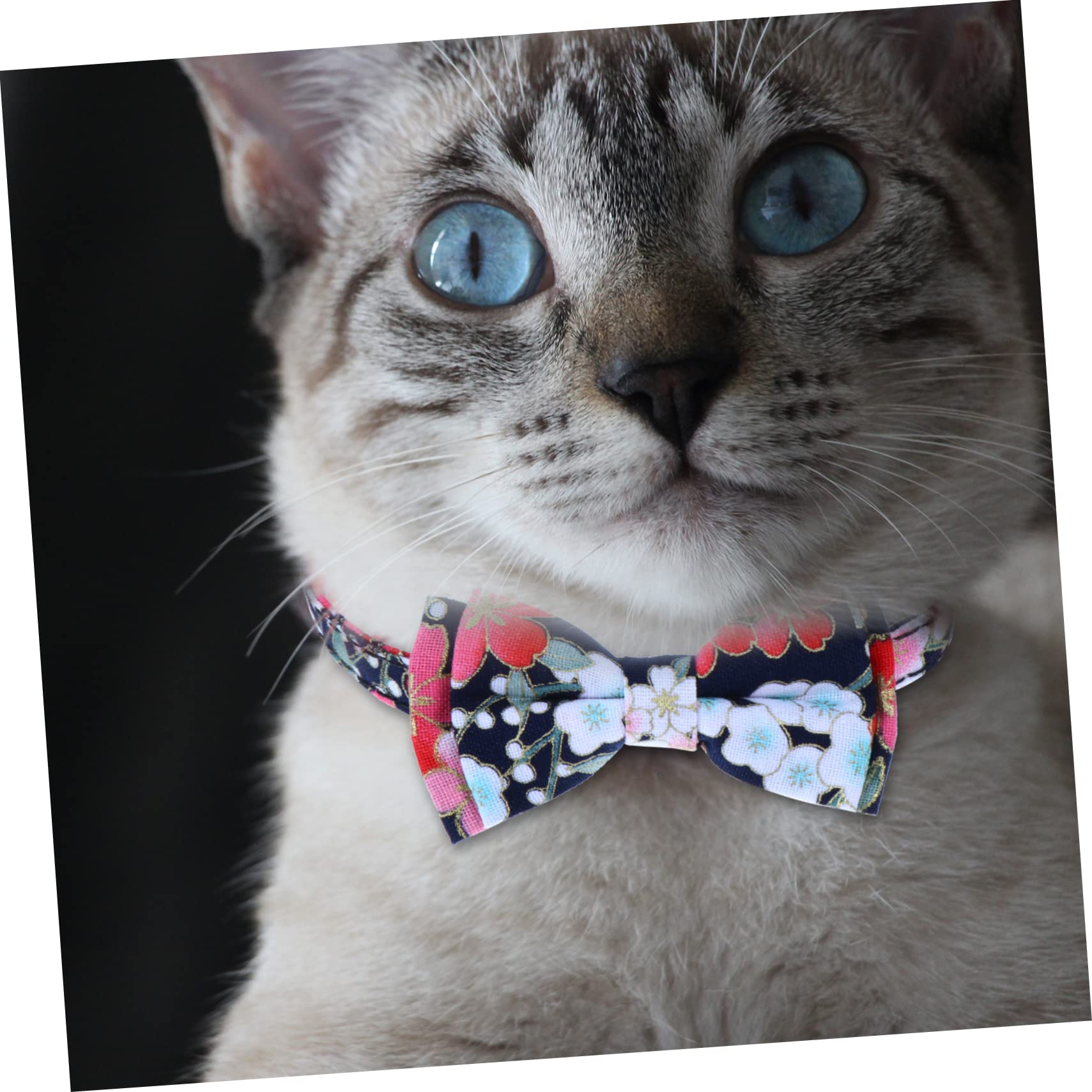 minkissy Lot De 3 Colliers pour Chat avec Clochette Taille Réglable Motif Floral pour Adorables Chats