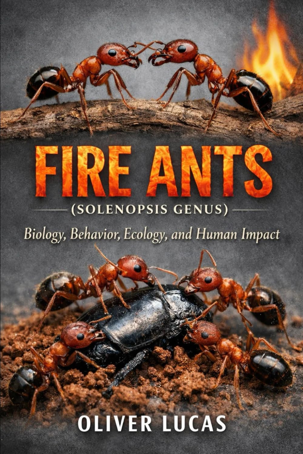 FIRE ANTS ( SOLENOPSIS GENUS ): Biology, Behavior, Ecology, and Human Impact