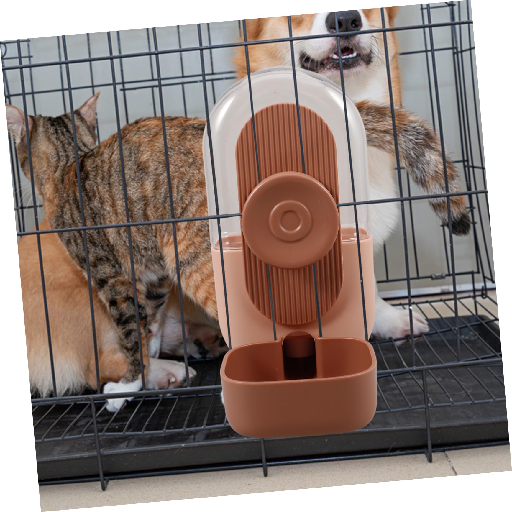 BESPORTBLE 5 Piezas Fuente De Agua para Mascotas Comedero De Agua para Ratas Dispensador De Agua De Jaula Comedero Automático De Agua para Pájaros Botella De Agua De Conejos Rosa Las Caderas