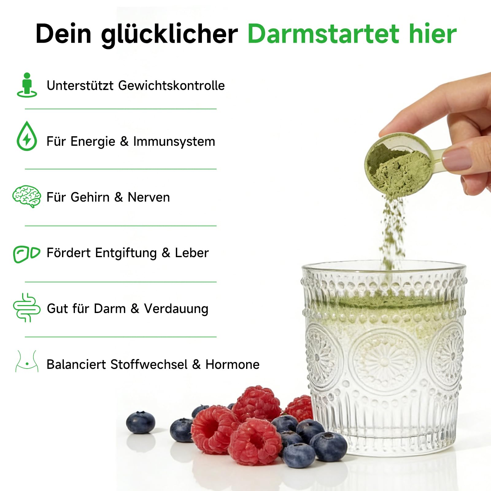 Grüne Entgiftungspulver 210g, Superfood Pulver zum Abnehmen, Helfer Greens Pflanzenpulver mit Matcha, Gerstengras, Spirulina & Heidelbeeren, Vegan