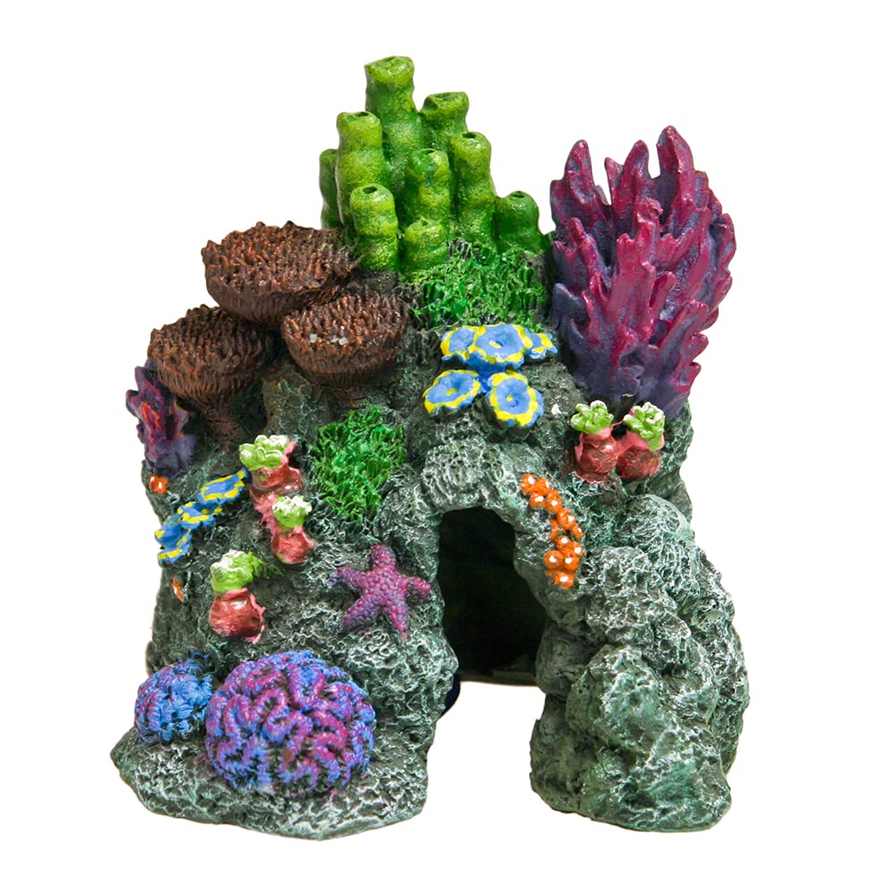 Afternoon Savings @ Your Local BIDFTA!