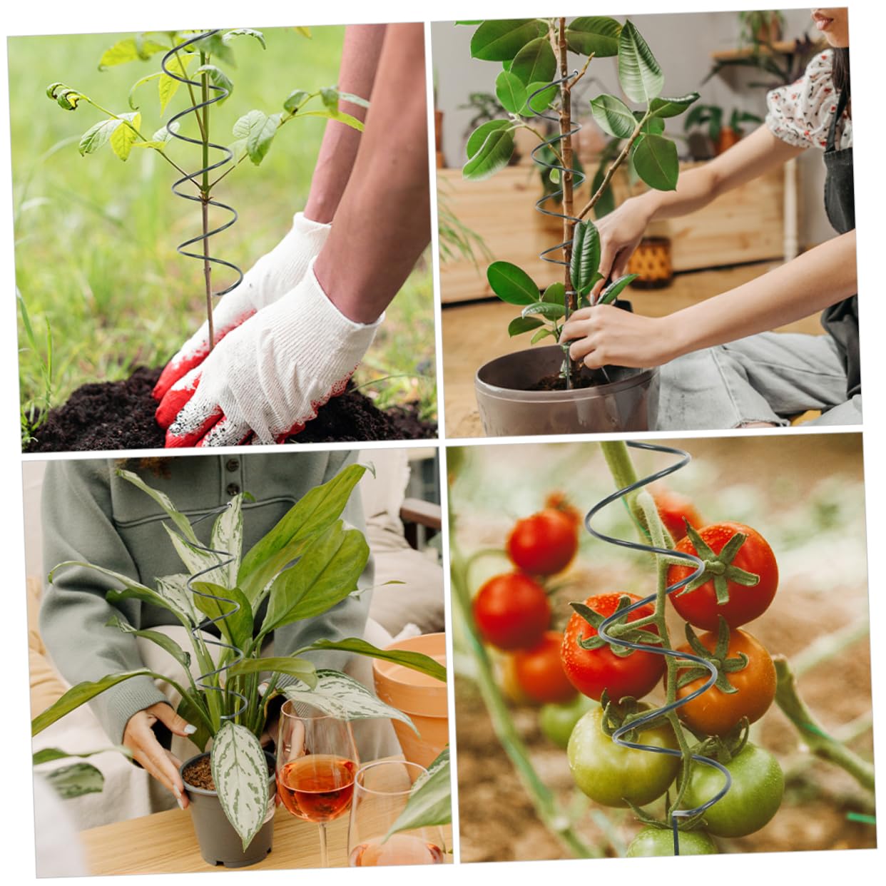 Abaodam 3 Sätze Pflanzenstützpfähle Spiral Hohe Stützstäbe Für Tomaten Kletterpflanzen Und Blumen Wetterfest Und Dekorativ Für Garten Und Balkon Einfache Installation Und 5 Stücke * 3