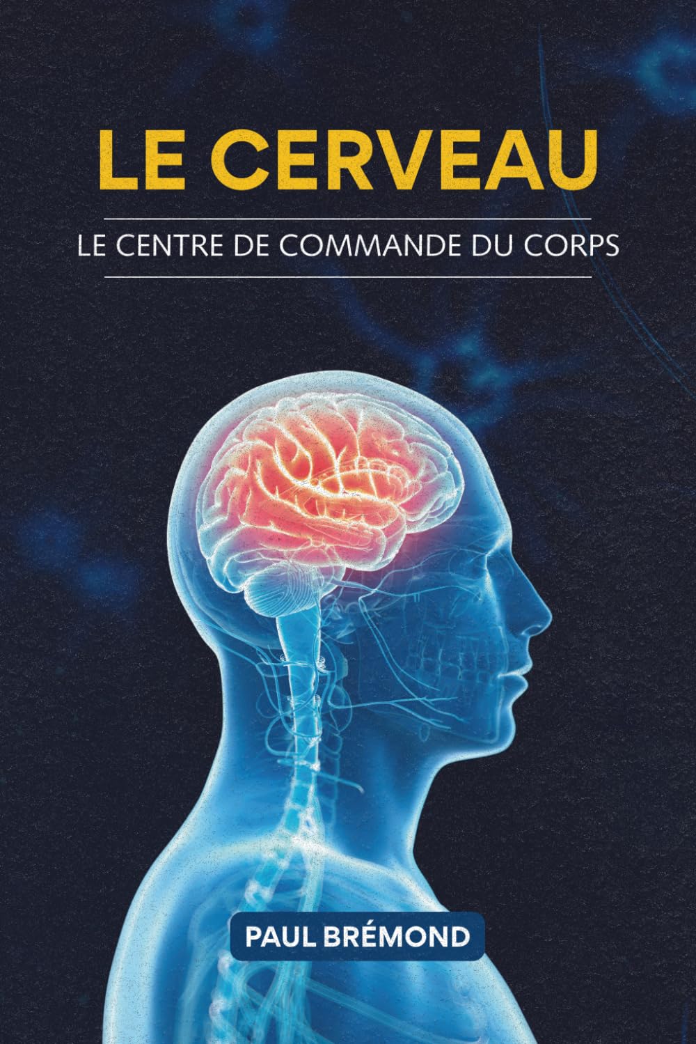 Le cerveau: Le centre de commande du corps