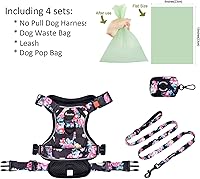 Vista 123 de Petmolico - Juego de arnés para perro sin tirones, 2 correas de sujeción con asa de fácil control, chaleco reflectante para razas pequeñas, arnés