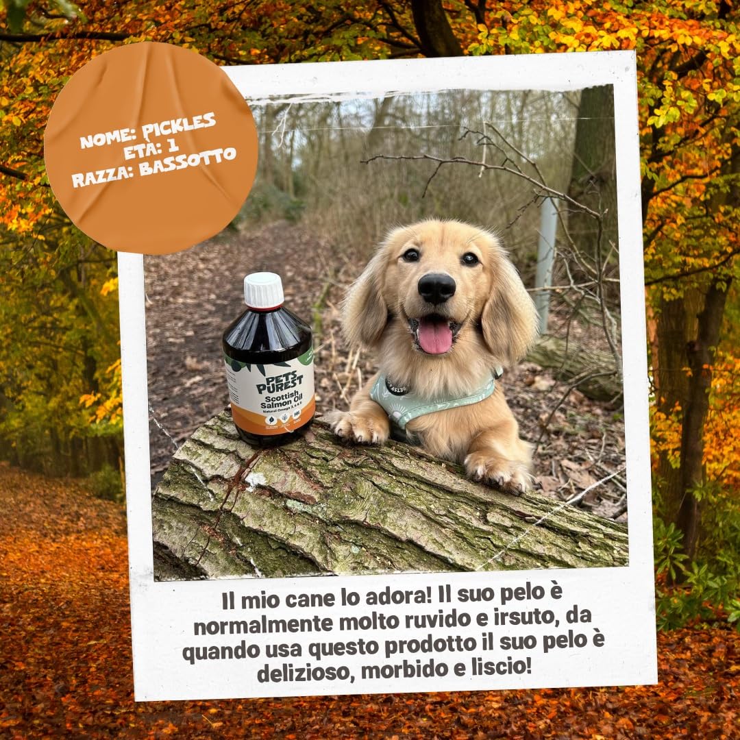 Pet Purest Olio di Salmone Scozzese per Cani, Gatti, Animali Domestici 500ml - Puro Olio di Pesce Integratore Alimentare Omega 3 6 9 per Pelo, Sistema Immunitario, Prurito, Articolazioni, Cervello