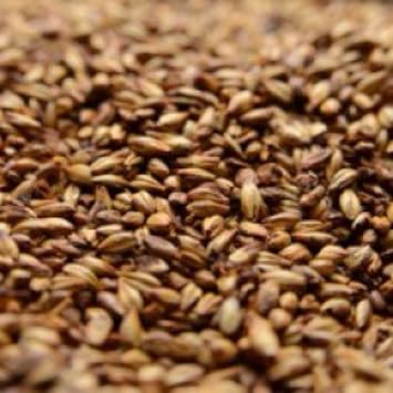 Briess 2-Row Caramel 80L Uncrushed Malt - 1 lb. Bag
