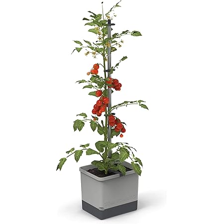 Tom Tomato - Tomatentopf - 4,5 L Wassertank Bewässerungssystem - Rankhilfe - Befestigungshaken - 20 L Erdvolumen - Kletterpflanzen - Pflanzkübel Pflanzgefäß Blumentopf Pflanzturm (Hellgrau)