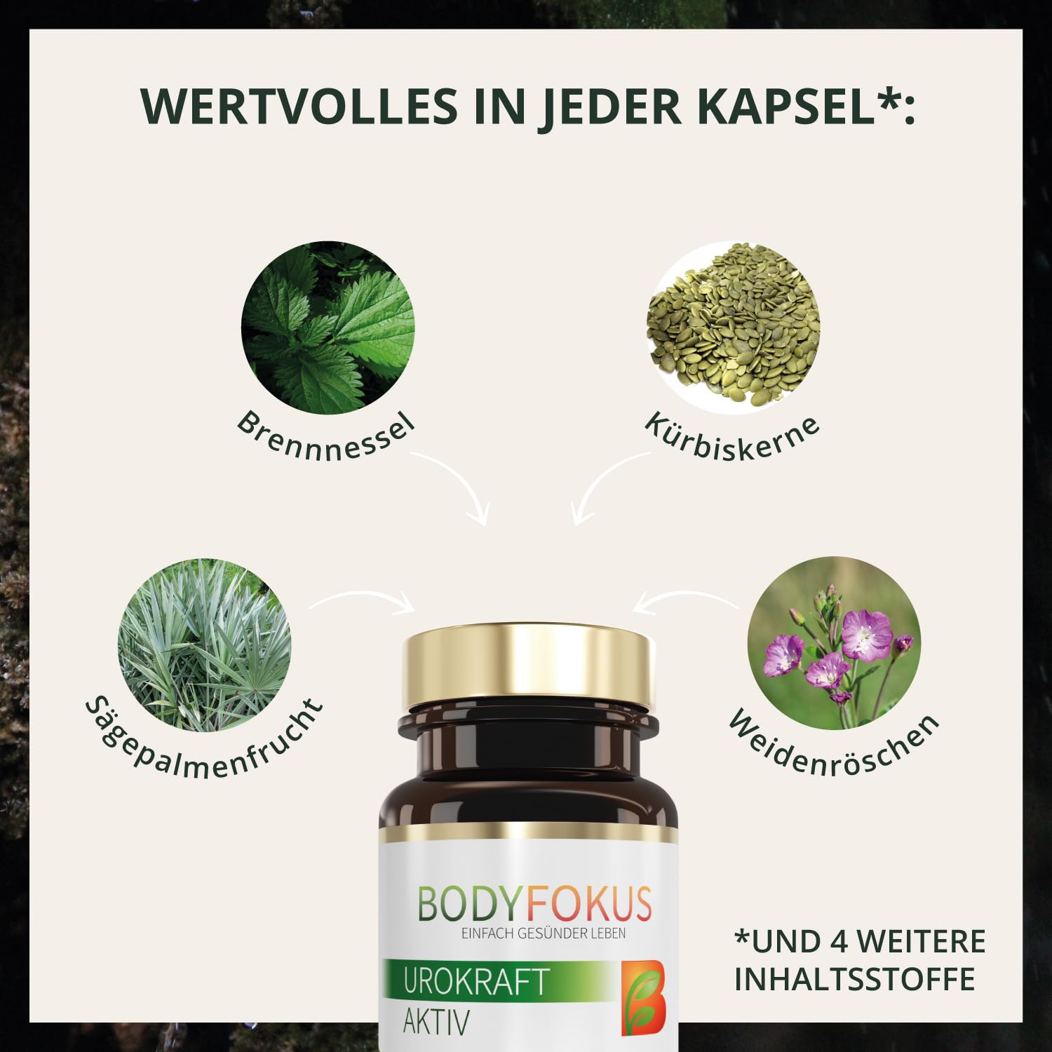 BodyFokus UroKraft Aktiv | einzigartige Zusammensetzung - 60 Kapseln - in Deutschland produziert … (Packung mit 2)