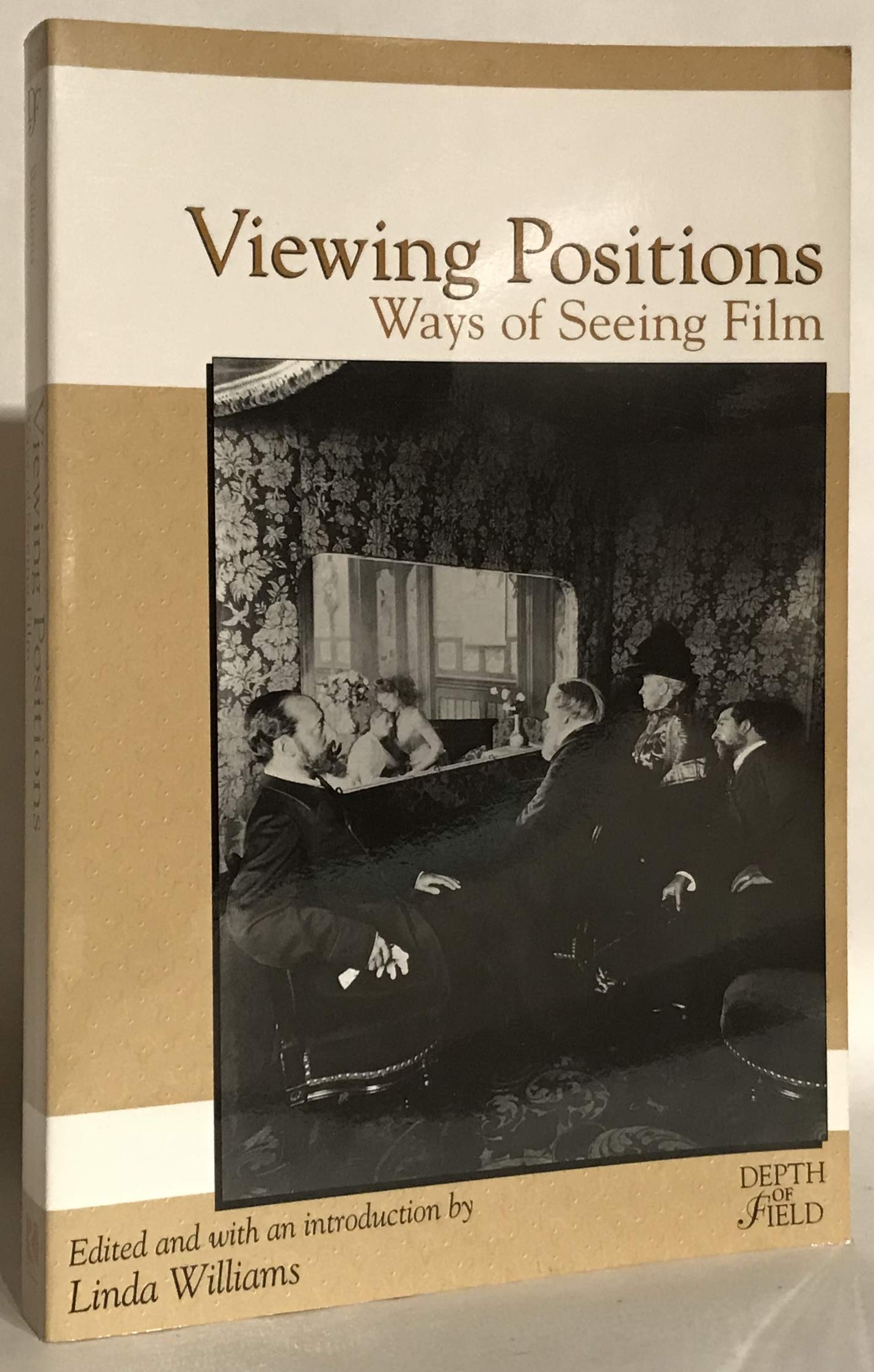 Buy Viewing Positions: Ways of Seeing Film (Depth of Field) — BookShops.in
