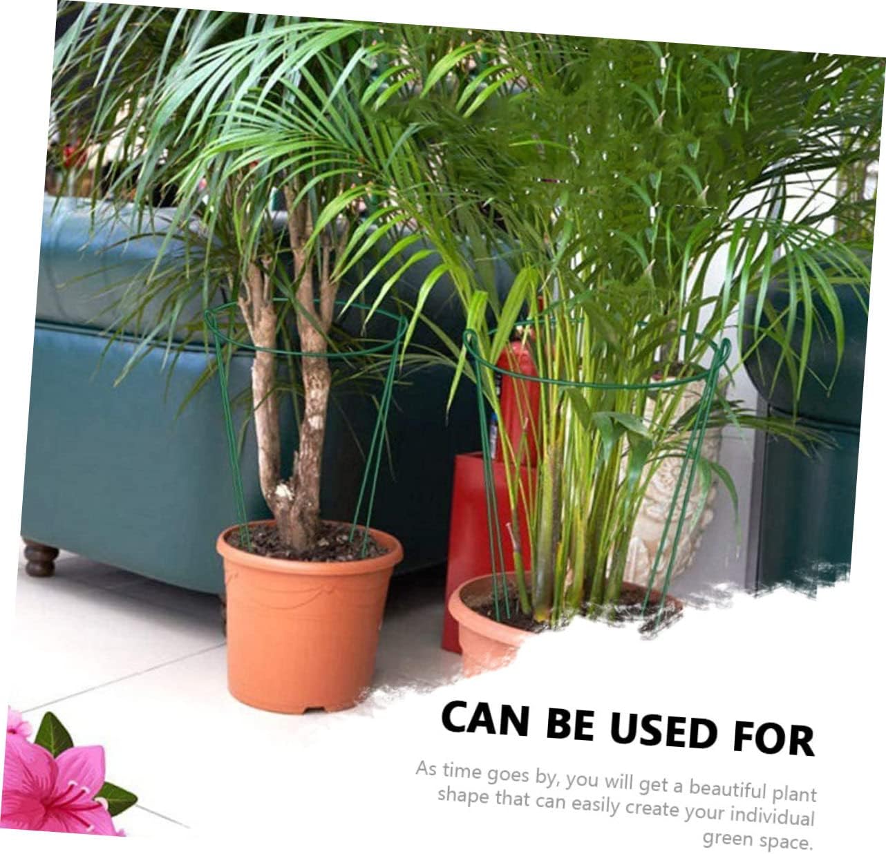 6pcs Half Round Plant Support Stands for Outdoor Flower Potted Plant Climbing Rack