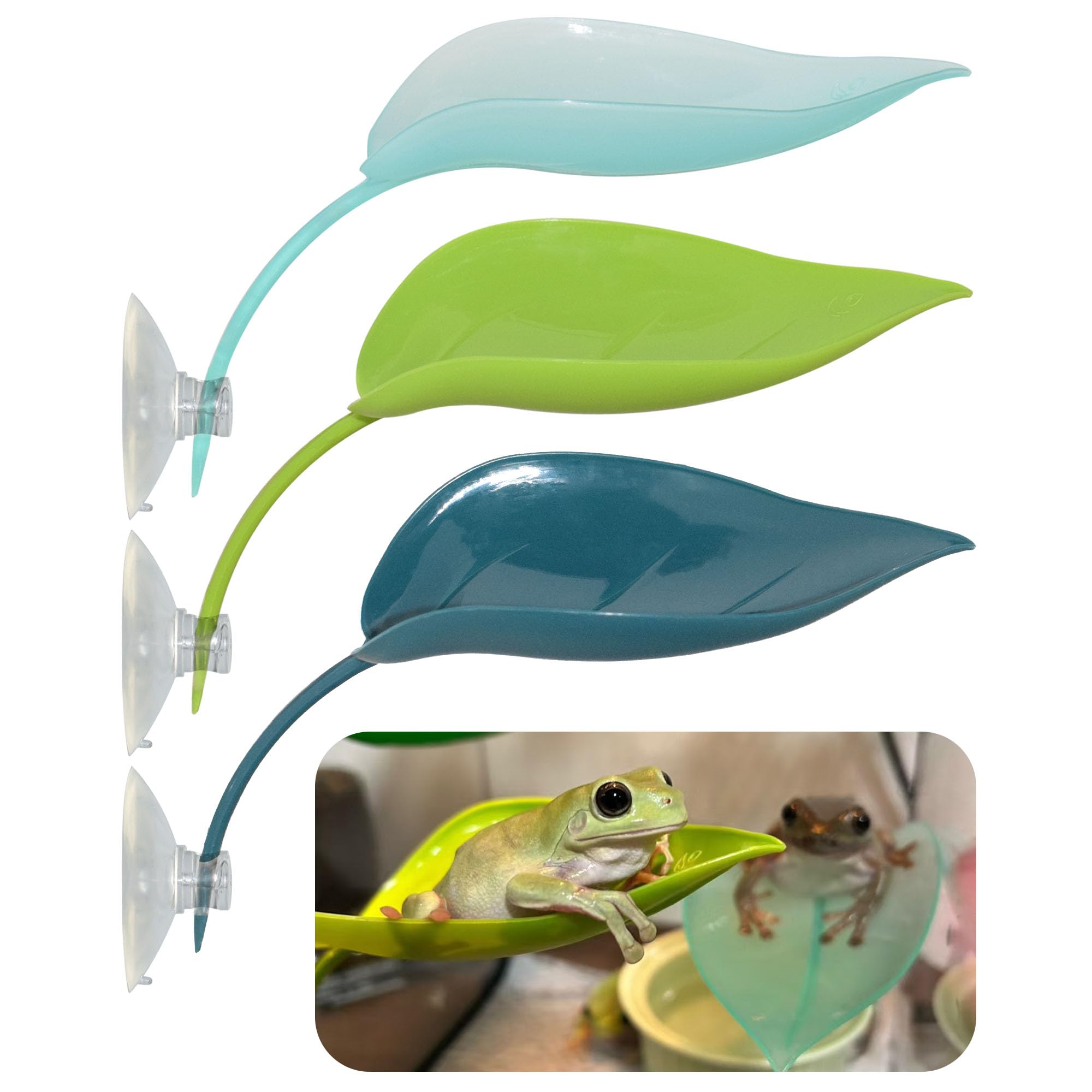 Tree Frog Terrarium Accessories, 3PCS Turtle Basking Platform