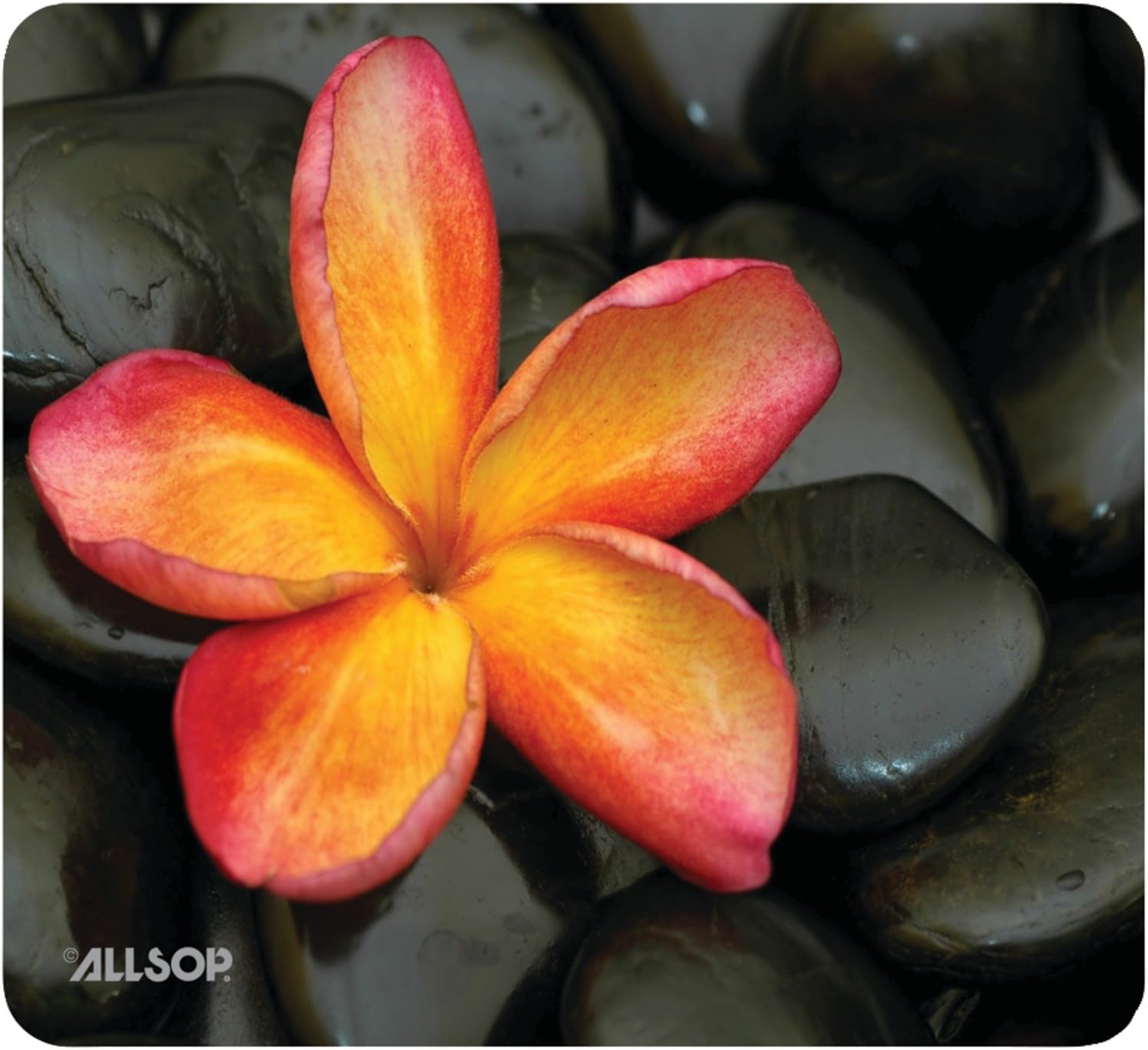 Allsop Naturesmart Mouse Pad, Floral (30185)