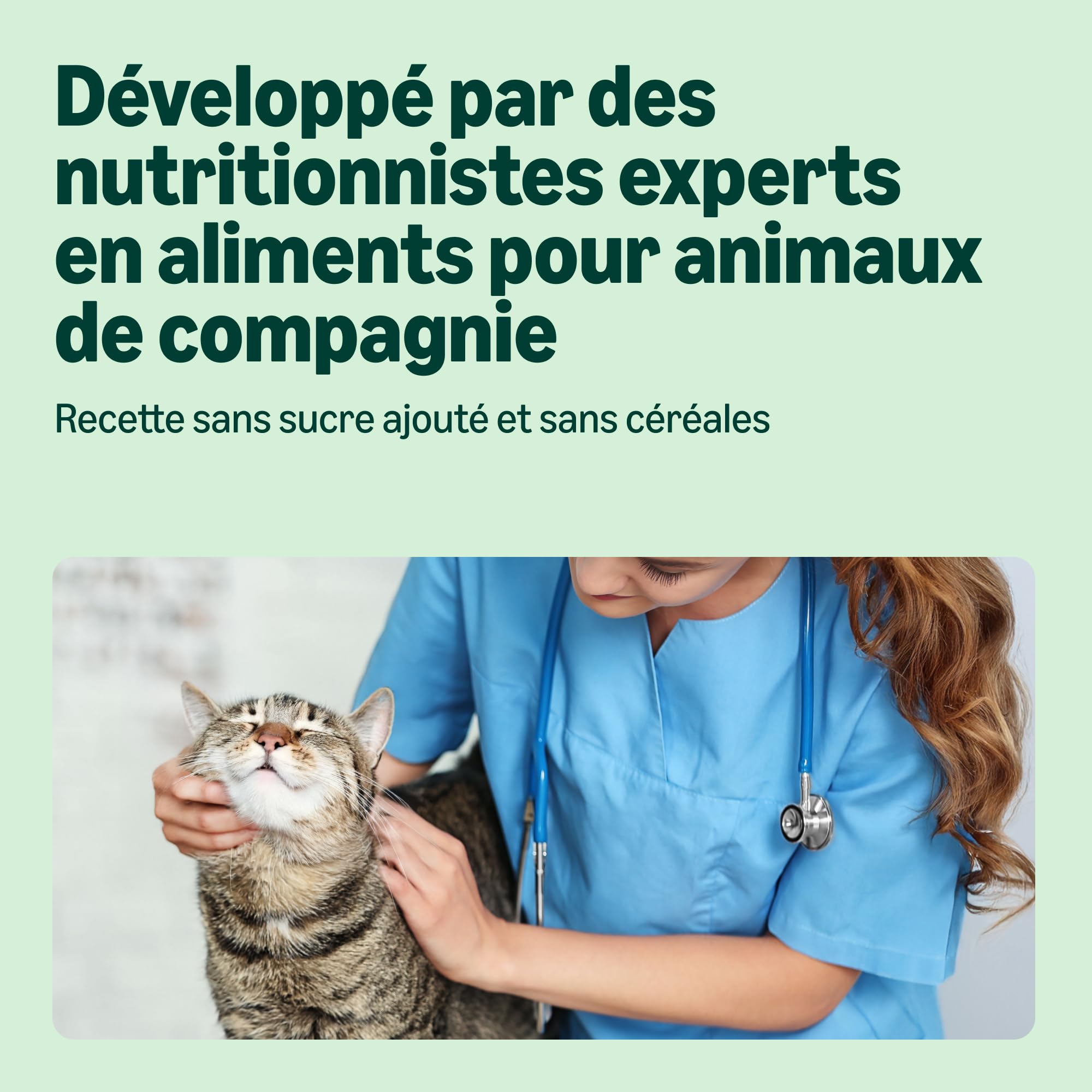 by Amazon Nourriture humide pour chat, sans céréales, en conserve, morceaux de saumon ASC en gelée, 6 x 405 g