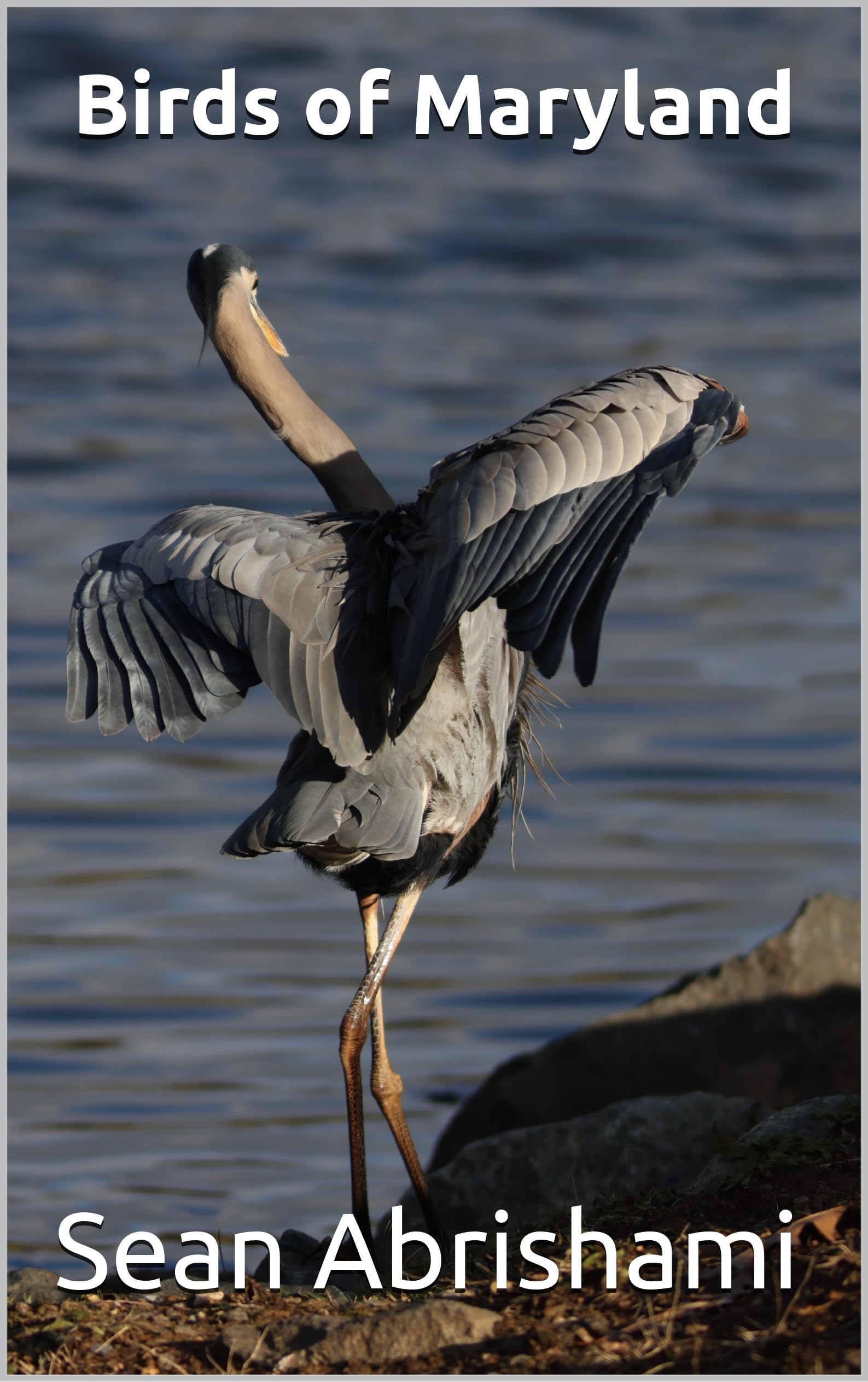 Birds of Maryland Livre d'observation pour vos randonnées aux USA