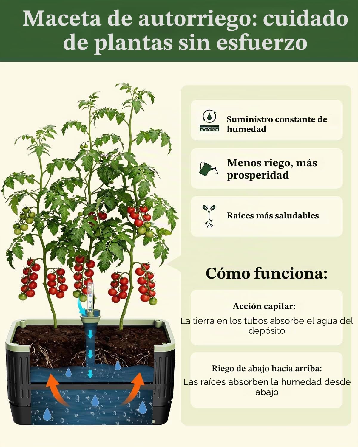 Macetero autorriego para tomates con enrejado, enrejado rectangular tomates para arriates elevados, caja macetero macetas de jardín, patio, interior y exterior (2 unidad)