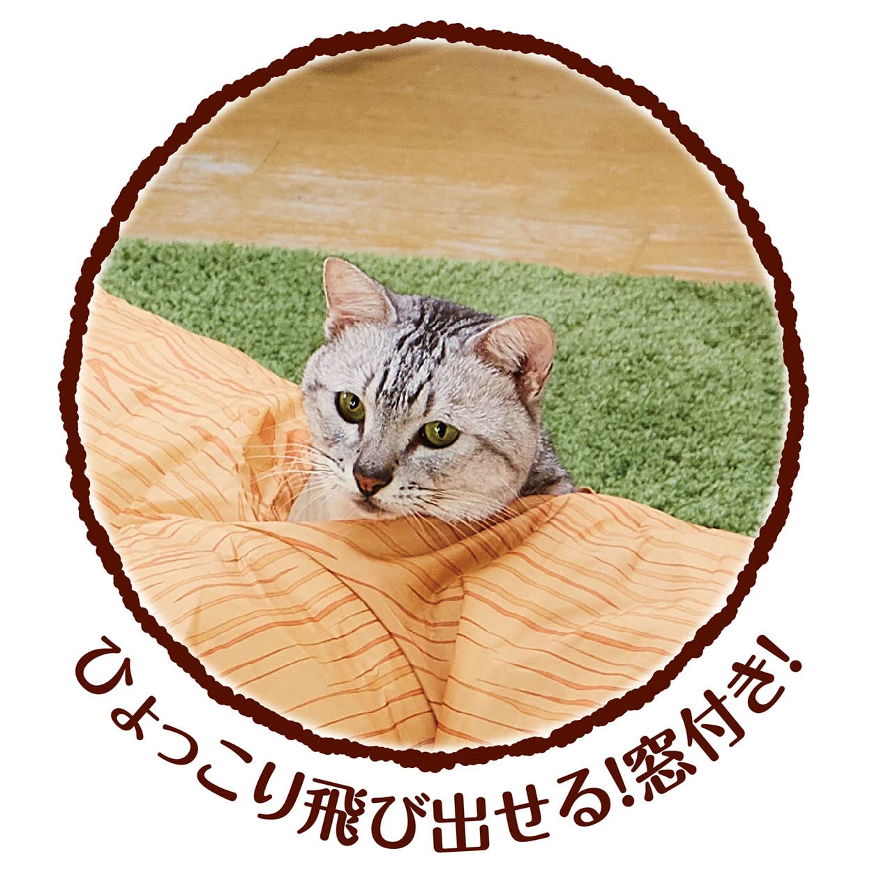 Amazon.co.jp: ペティオ (Petio) 猫用おもちゃ necoco