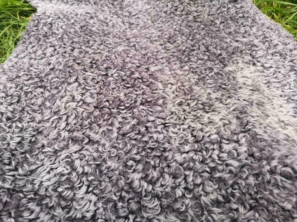 Echte kurz gelockte Gotland Schaffellen grau L - XXL (110-120 cm x 60-70 cm)