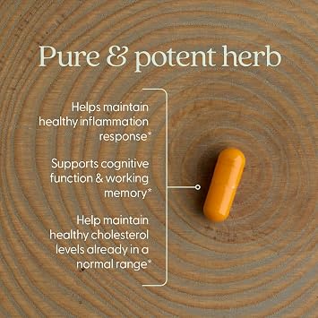 New Chapter One Daily Turmeric Supplement, 60 Count