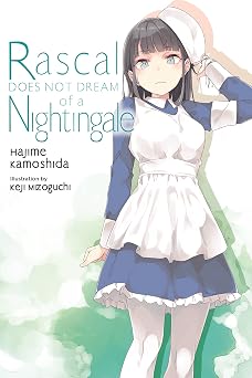 Rascal Does Not Dream of a Nightingale light novel Volume 11 Rascal Does Not Dream light novel, 11